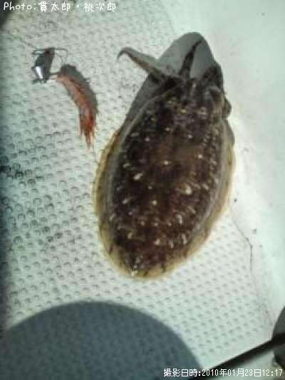 ���ߥ���