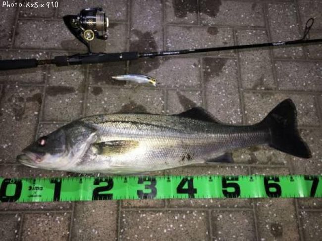 �����Х�