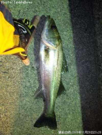 �����Х�