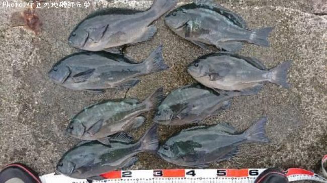 �����᥸��