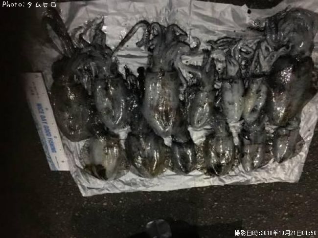 �����ꥤ��