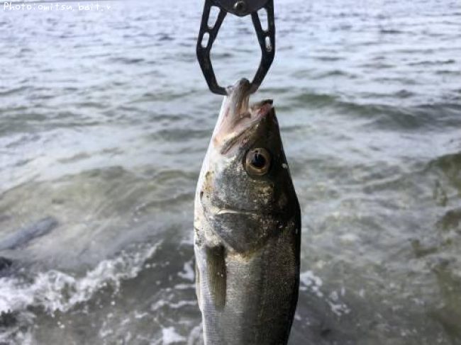 �����Х�