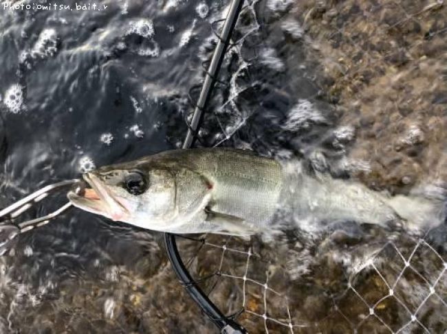 �����Х�