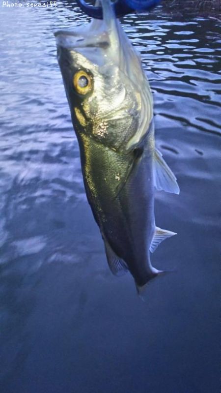 �����Х�