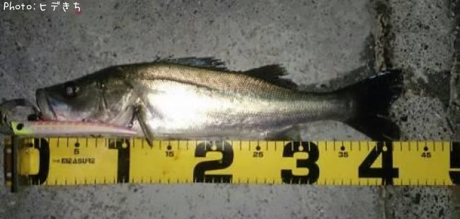 �����Х�