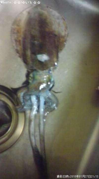 �����ꥤ��