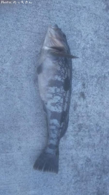 �����ʥ�