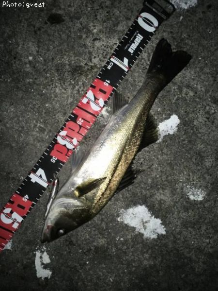 �����Х�