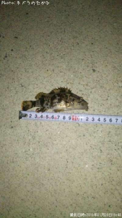 �����Υ���Х�