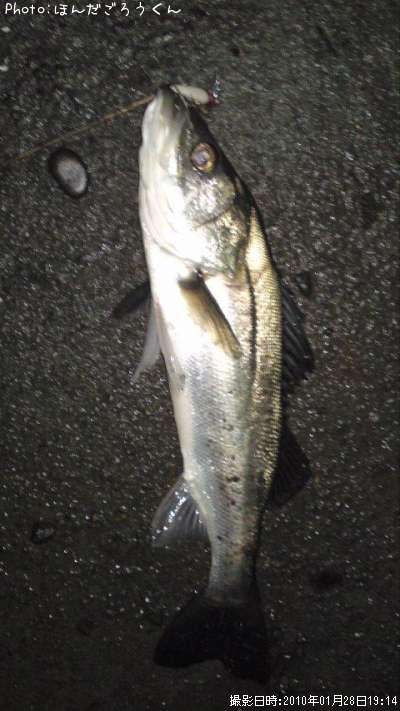 �����Х�