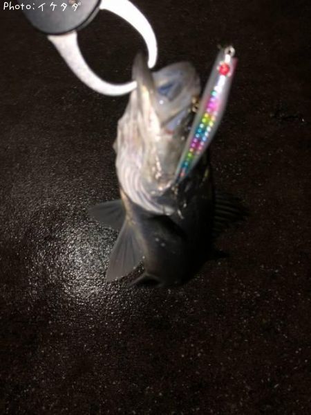 �����Х�