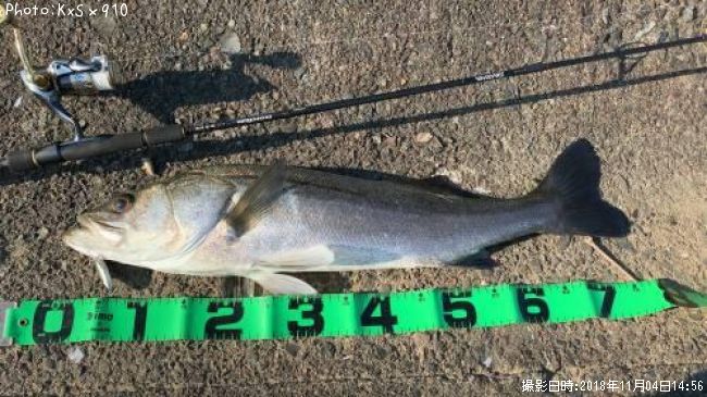 �����Х�