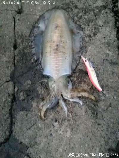 �����ꥤ��