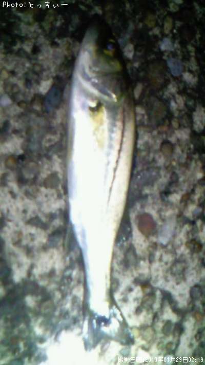 �����Х�