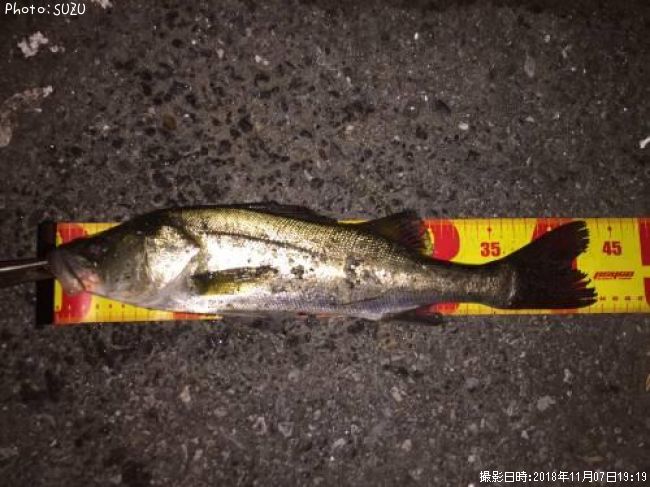 �����Х�