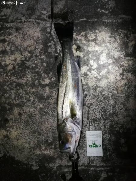 �����Х�