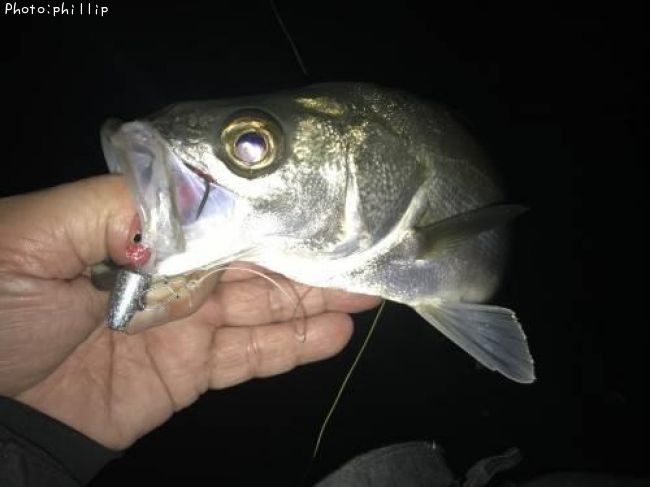 �����Х�