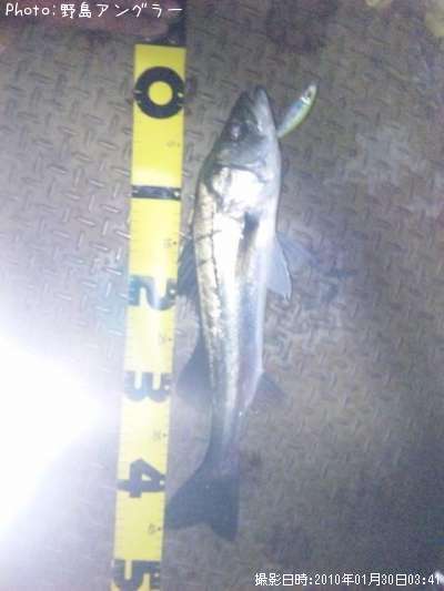 �����Х�