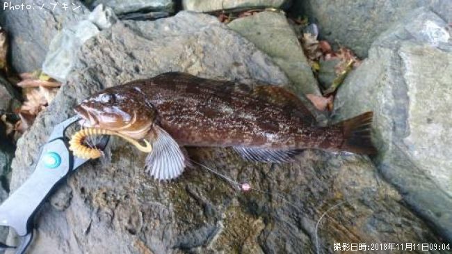 �����ʥ�