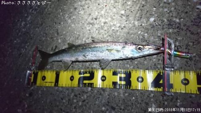 ���ޥ�������