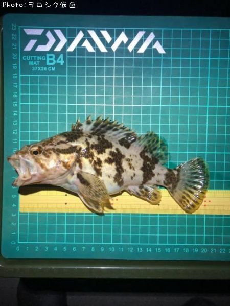 �����Υ���Х�