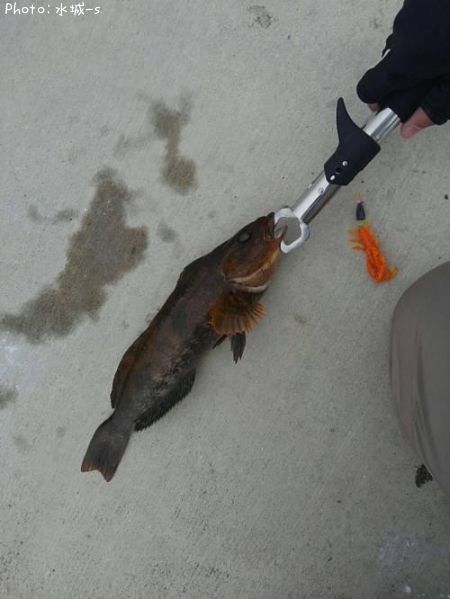 �����ʥ�