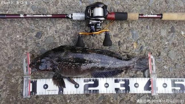 �����ʥ�