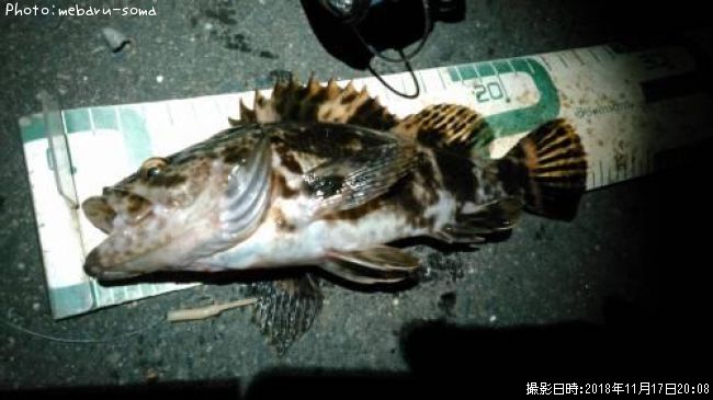 �����Υ���Х�