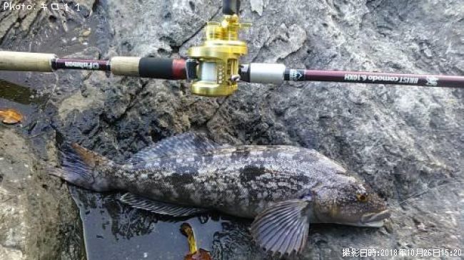 �����ʥ�