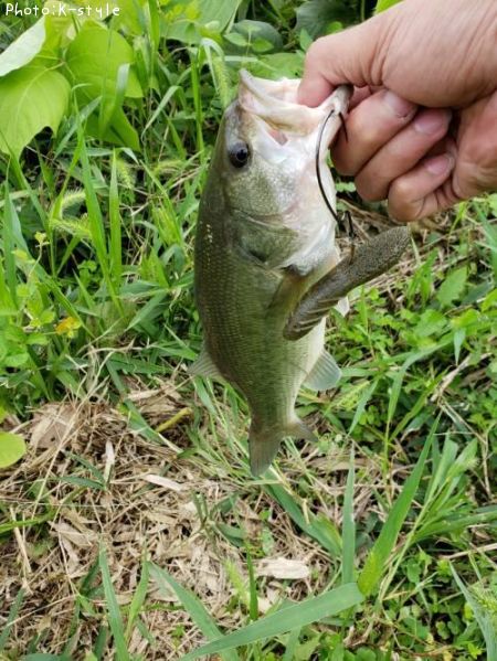 �֥�å��Х�