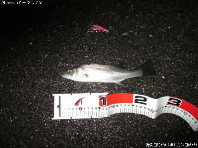 �����Х�