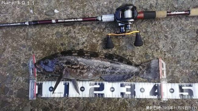 �����ʥ�