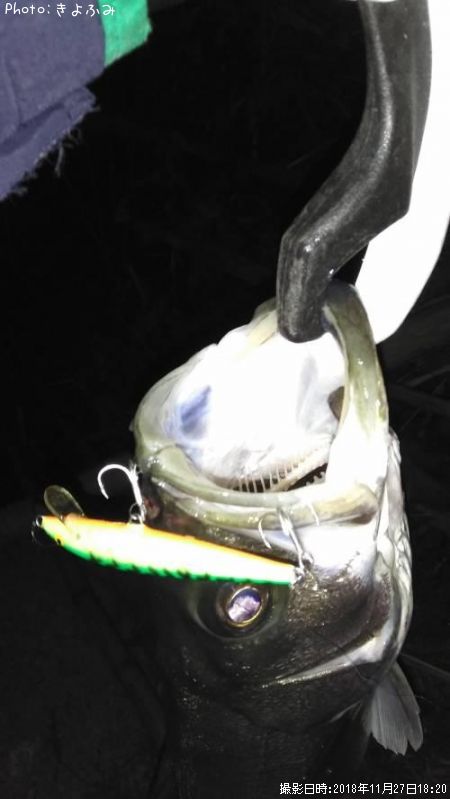 �����Х�