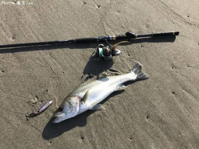 �����Х�