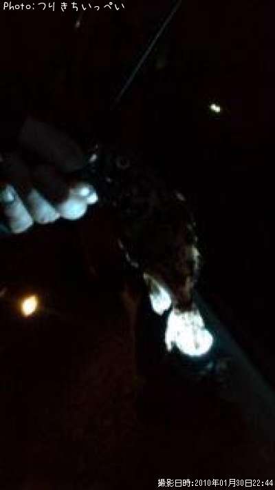 �����Υ���Х�