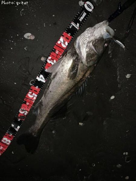 �����Х�