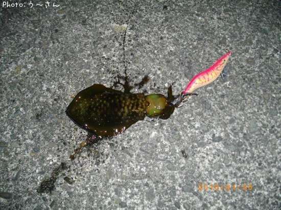 �����ꥤ��