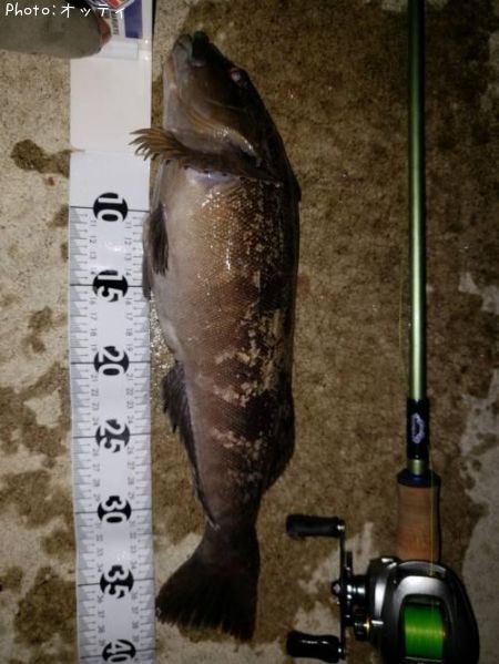 �����ʥ�