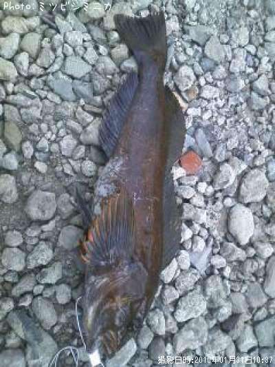 �����ʥ�