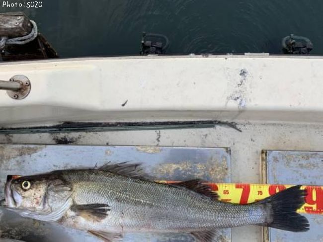 �����Х�