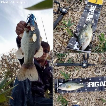 �֥�å��Х�