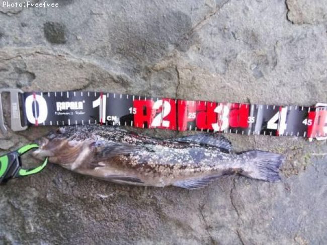 �����ʥ�