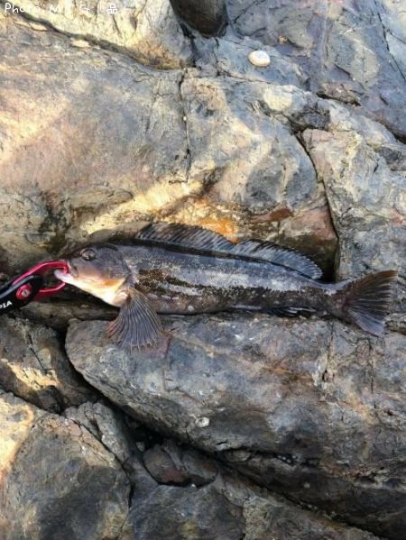 �����ʥ�