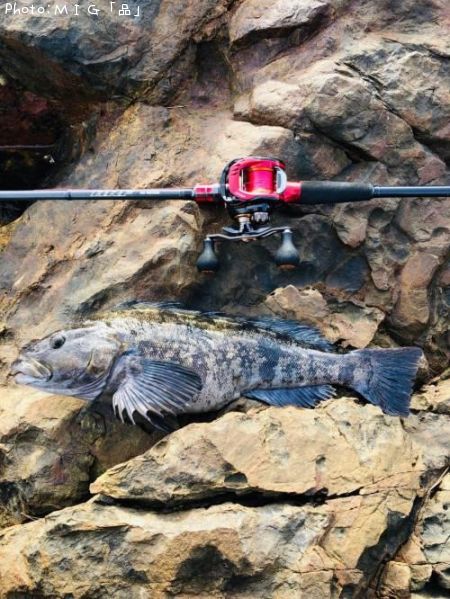 �����ʥ�