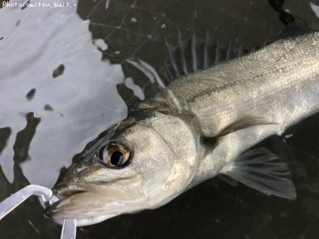 �����Х�