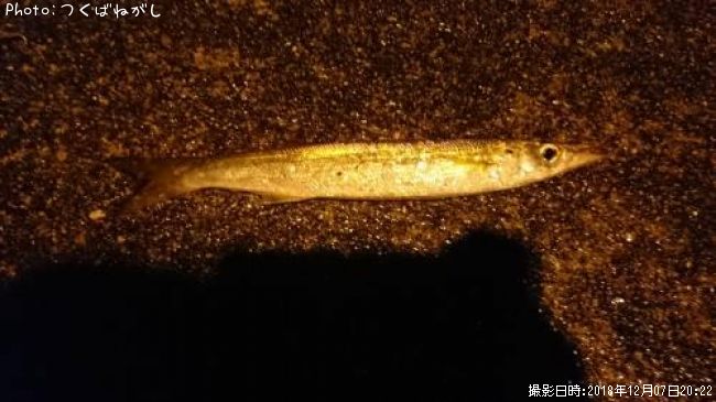 �������ޥ�