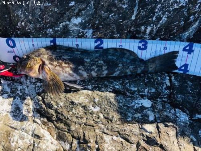 �����ʥ�