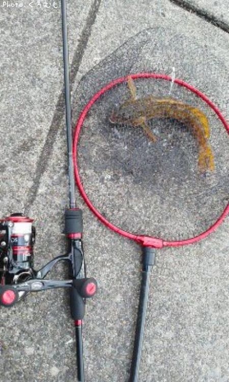 �����ʥ�