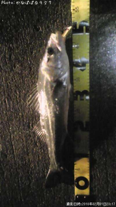 �����Х�