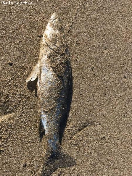 �����Х�